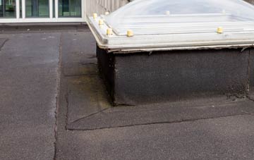 disadvantages of Pontyates flat roofs